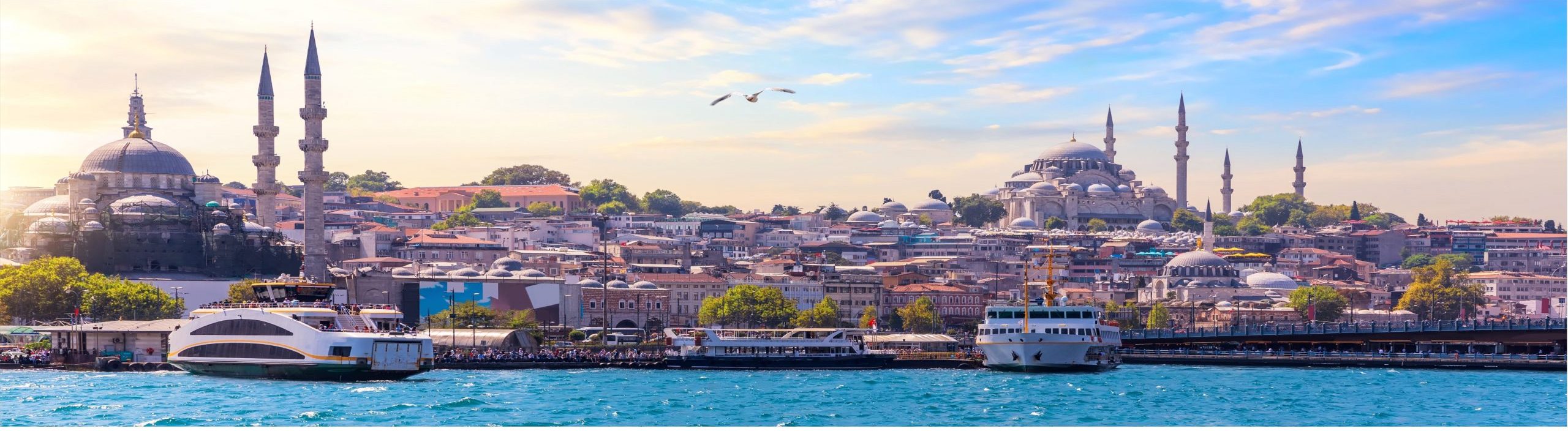 Istanbul Turquie Bosphore